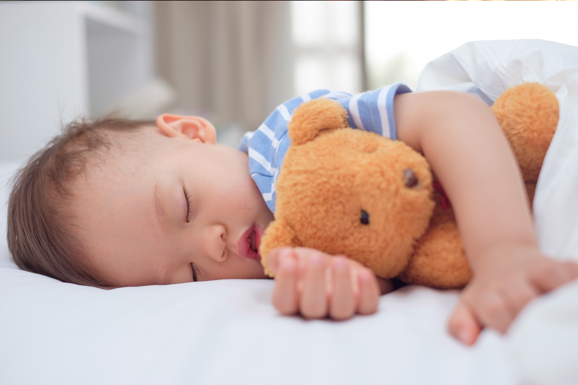 Child not experiencing sleep regressions, sleeping soundly in his bed while holding his teddy bear