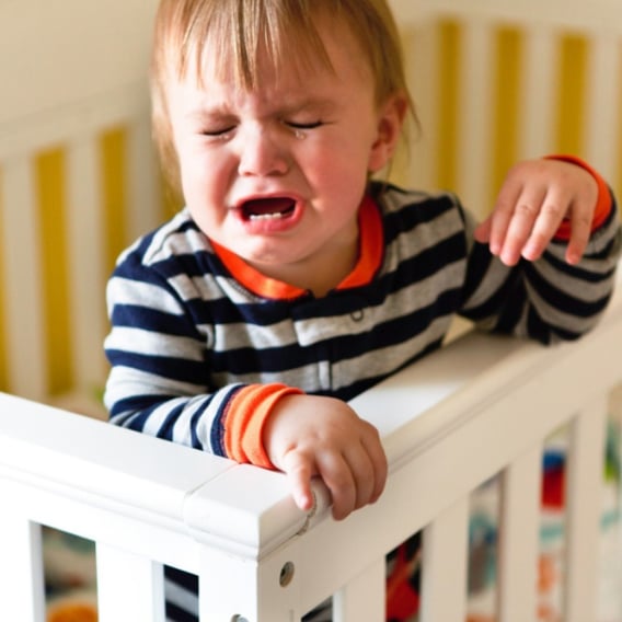 Child throwing a tantrum in his cot before the first day of school
