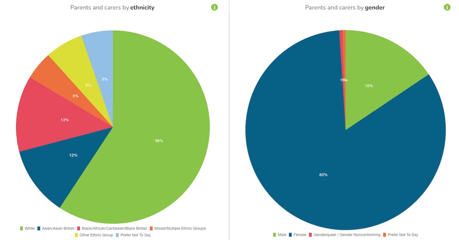 Impact Dashboard Images - Parent Demographic Pie Charts Abr